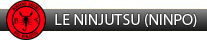 LE NINJUTSU (NINPO)
